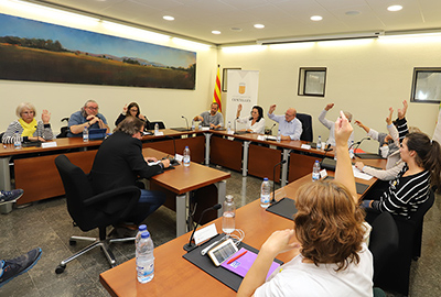 Ple extraordinari municipal del 15 d’octubre de 2019