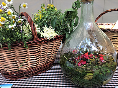 Es cancel·la la Fira de la ratafia de Centelles 