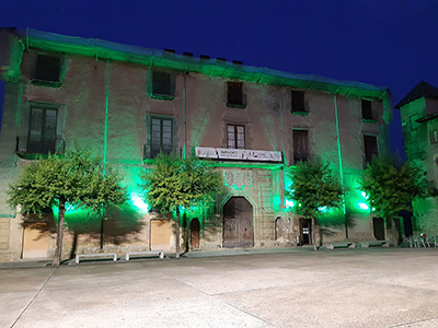 El Palau dels Comtes s'il·lumina de color verd per recordar els malalts per