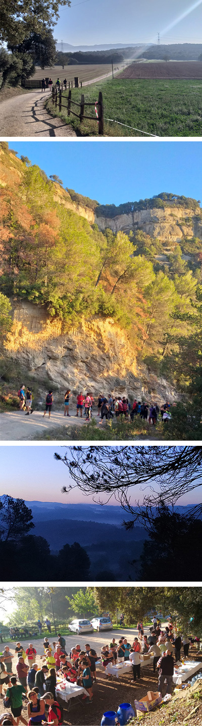 Prop de 400 participants a la 38a Caminada popular