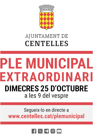 Dimecres 25 d'octubre, Ple Municipal extraordinari