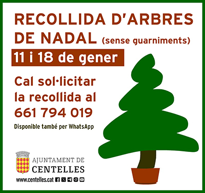 Recollida d’arbres de Nadal