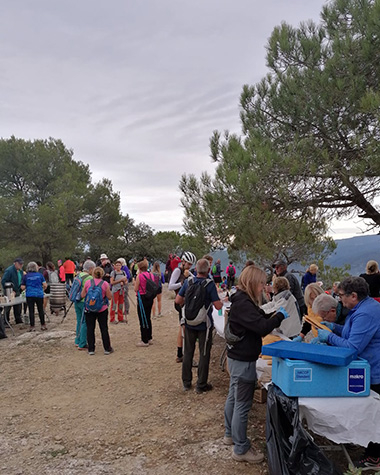 Unes 240 persones participen a la 39a Caminada Popular
