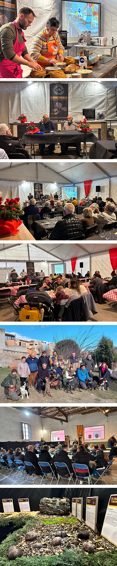 Èxit de la Fira de la Tòfona com a referent gastronòmic