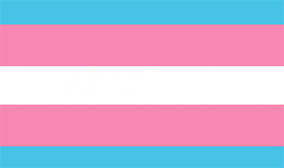 Avui, dia de la visibilitat Trans* l’Ajuntament s’adhereix al manifest del Consell Nacional LGTBI