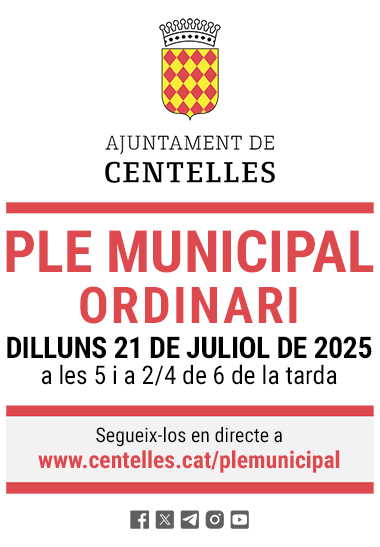 Dilluns 21 de juliol, Ple Municipal ordinari