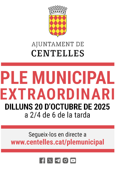 Dilluns 20 d'octubre, Ple Municipal extraordinari