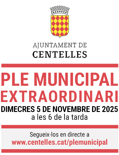 Dimecres 5 de novembre, Ple Municipal extraordinari
