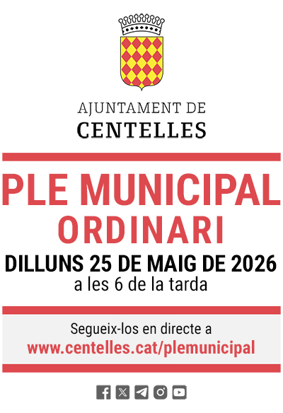 Dilluns 25 de maig, Ple Municipal ordinari