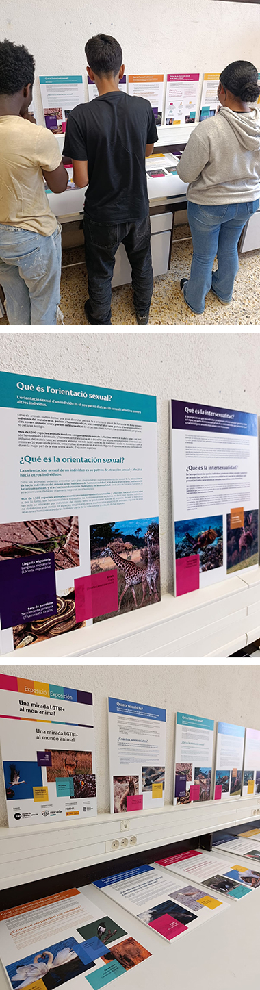 L'Espai Jove acull l'exposició "Una mirada LGTBI+ al món animal"