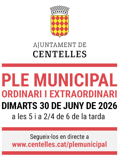 Dimarts 30 de juny, Ple Municipal ordinari i extraordinari