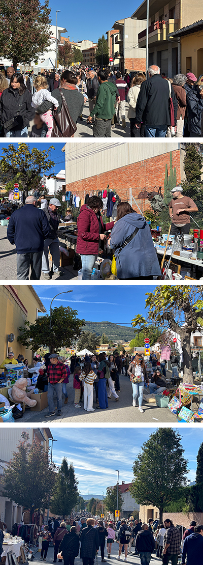 El Mercat del Trasto de Centelles aplega prop de 120 parades en una jornada assolellada i concorreguda