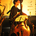 David Vi&ntilde;olas Trio